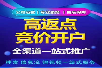 竞价排名与内容营销的结合案例